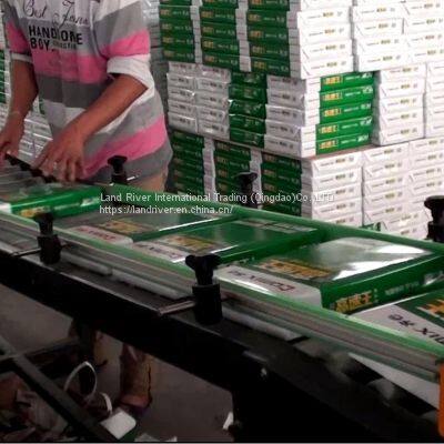 A4 Copy Paper Making Machine With 1.0Mpa Design Pressure and Design Speed 670cuts/min photo-5