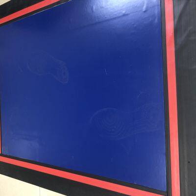 PVC Washable Clean Mat