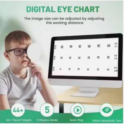 Comprehensive Analysis of the 215D Visual Test Chart: Enhancing Visual Acuity Assessment and Diagnostic Accuracy in Optometry
