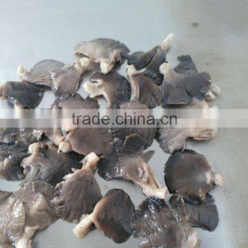 brined oyster mushroom