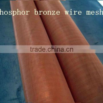 2013 high quality phosphor bronze wire mesh