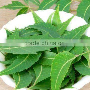 Natural Neem Leaf Powder At Your Brand