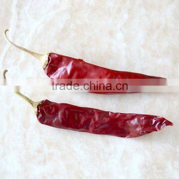 jin ta chilli