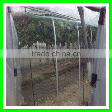 Animal Protection Fence/plastic Wire Bird Mist Nets for Vineyard photo-4