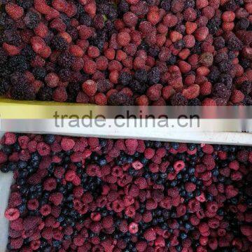 Frozen IQF mixed Berries with BRC kosher certificates