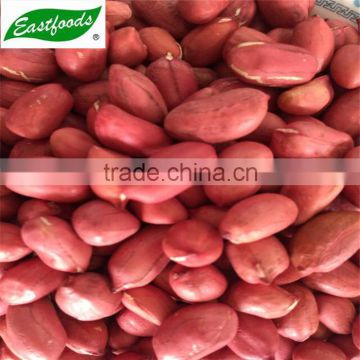 red skin groundnut kernel (silihong)