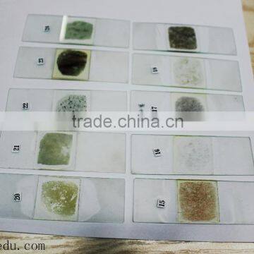 Microscope Prepared Slides ,Rock Slides, Rock Prepared Slides photo-3