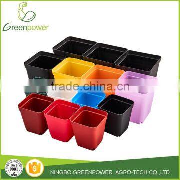 Small square Flower pot Mini Gardening Plastic Nursery Pots Square Flower Bonsai Planter Pots