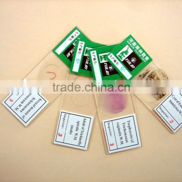 microscope kits 76 pcs prepared microscope slides for kids and children