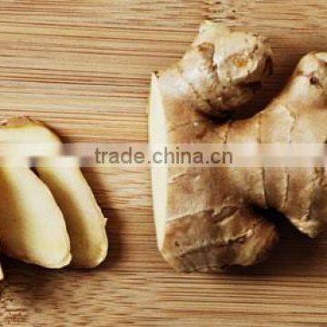 FRESH GINGER AND AIR DRIED GINGER NEW CROP IN NOVEMBER