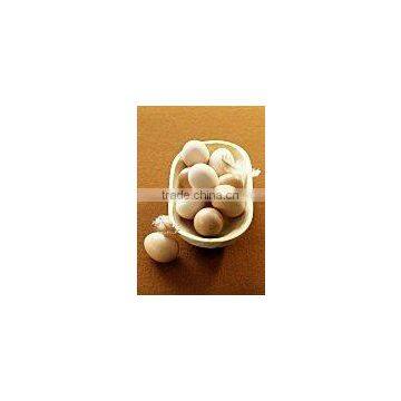 egg albumen powder