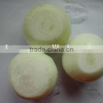 2015 new crop fresh peeled onion in china