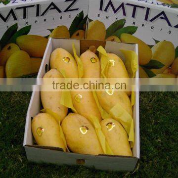 Pakistani Mango