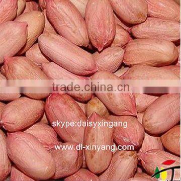 Best buying ISO certificated grade A raw peanuts kernels