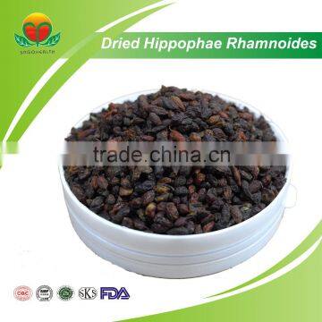 Manufacture Supply Dried Hippophae Rhamnoides