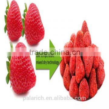 Wholesale Dried LMD strawberry chips / fruit chips