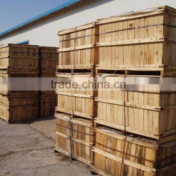 Good Quality Canned Pickle Green Chili Pepper photo-4