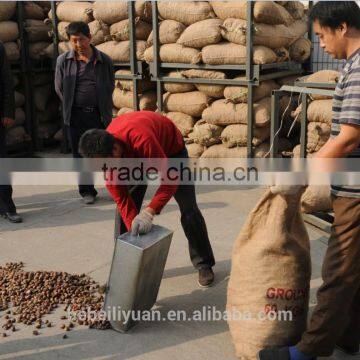 2015 New Crop Fresh Organic Sweet and Easy Peeling Chestnuts With Shell photo-5