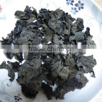 mushrooms, black fungus, agaric, dried mushroom, wood ear