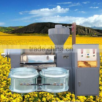 High quality automatic oil press for cold pressed oil