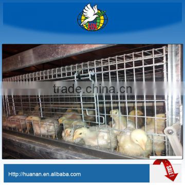 stable and efficient broiler chicken cage