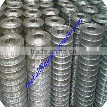Galvanized 1/4 Inch Galvanized Welded Wire Mesh / Lowest Price Welded Wire Mesh photo-4