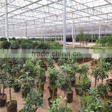 Polycarbonate Greenhouse photo-6
