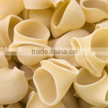 Italian pasta making machine price macaroni making machine