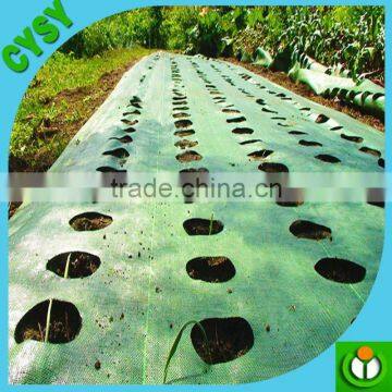 PP Ground Cover,weed Barrier Fabrics, Weed Mat in Strawberry Garden