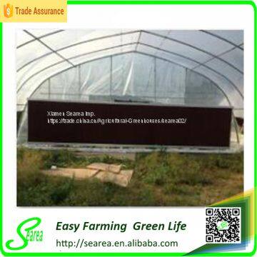 Glass Greenhouse photo-2