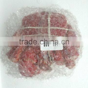 Hairy Snow Crab Antarctica photo-6