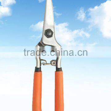 6" garden grape scissors/ Gardening tool