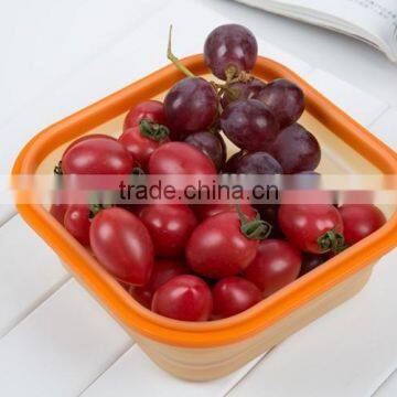 Silicone Food Grade Small Fruit Box Airtight Lunch Box photo-2