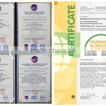 Customized Rayon Embroidery Thread 120D/2 150D/2