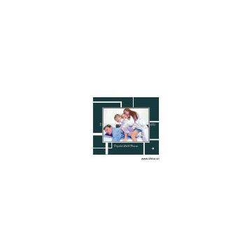 Sell Digital Photo Frame (ST-8090)