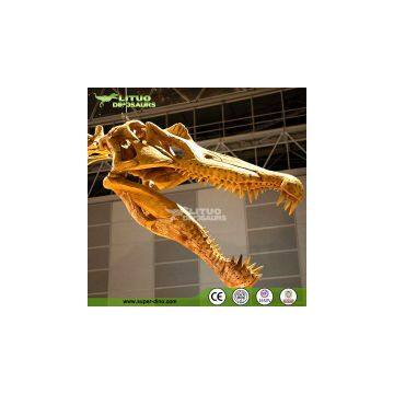 Life Size Dinosaur Fossil Model Replica Spinosaurus photo-3
