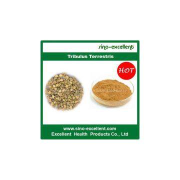 Top Grade Tribulus Terrestris