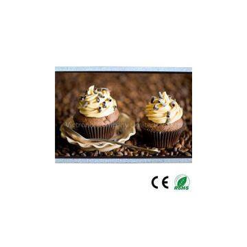 OEM 10.1inch 1024*600 TFT Durable Monitor And POS And GPS