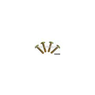 Self-drilling Screw