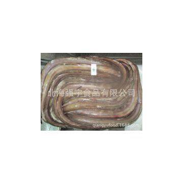 Frozen Conger Eel Whole Round