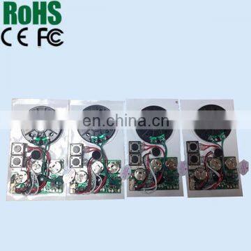Greeting Card/Toys/Sound Products With Recordable Melody Module