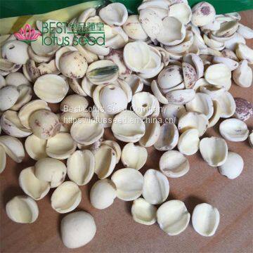 Lotus Seed Lotus Nut Lotus Kernel Dried Half White Lotus Seed paste Health Food