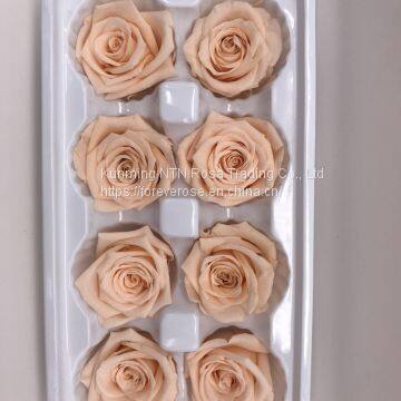 Preserved Flowers Wedding Bridal Bouquets Natural Eternal Roses photo-3