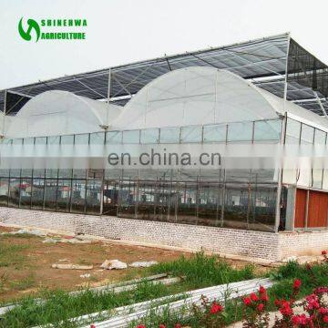 Hot Sale Low Price Professional Agricultural Reinforced Commercial Plastic Film Greenhouse