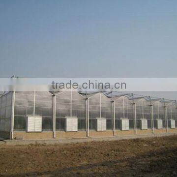 200mic plastic film for greenhouse with CE certificate