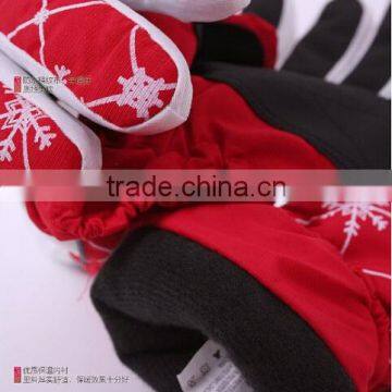 2015 New Design Waterproof 40 Gram Thinsulate Insulation Ski Gloves for Couple photo-2