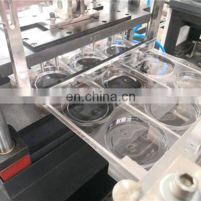 PCL420 Automatic Pet Yogurt Ice Cream Paper Cup Plastic Lid Making Machine, KFC Disposable PP PET PS Cover Forming Equipment