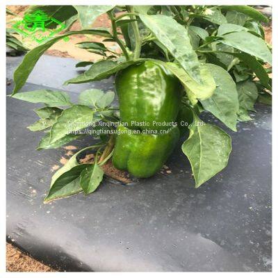 Black and Silver Agricultural Plastic Polyethylene Mulch Sheet Weed Control