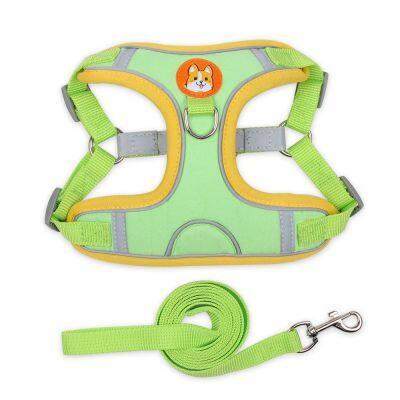 Pet Harness Small Dog With Leash Set photo-5