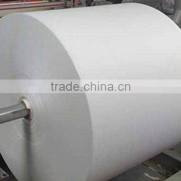 Advantage Price Paper Rolls For Paper Cups Disposable Paper Products photo-3